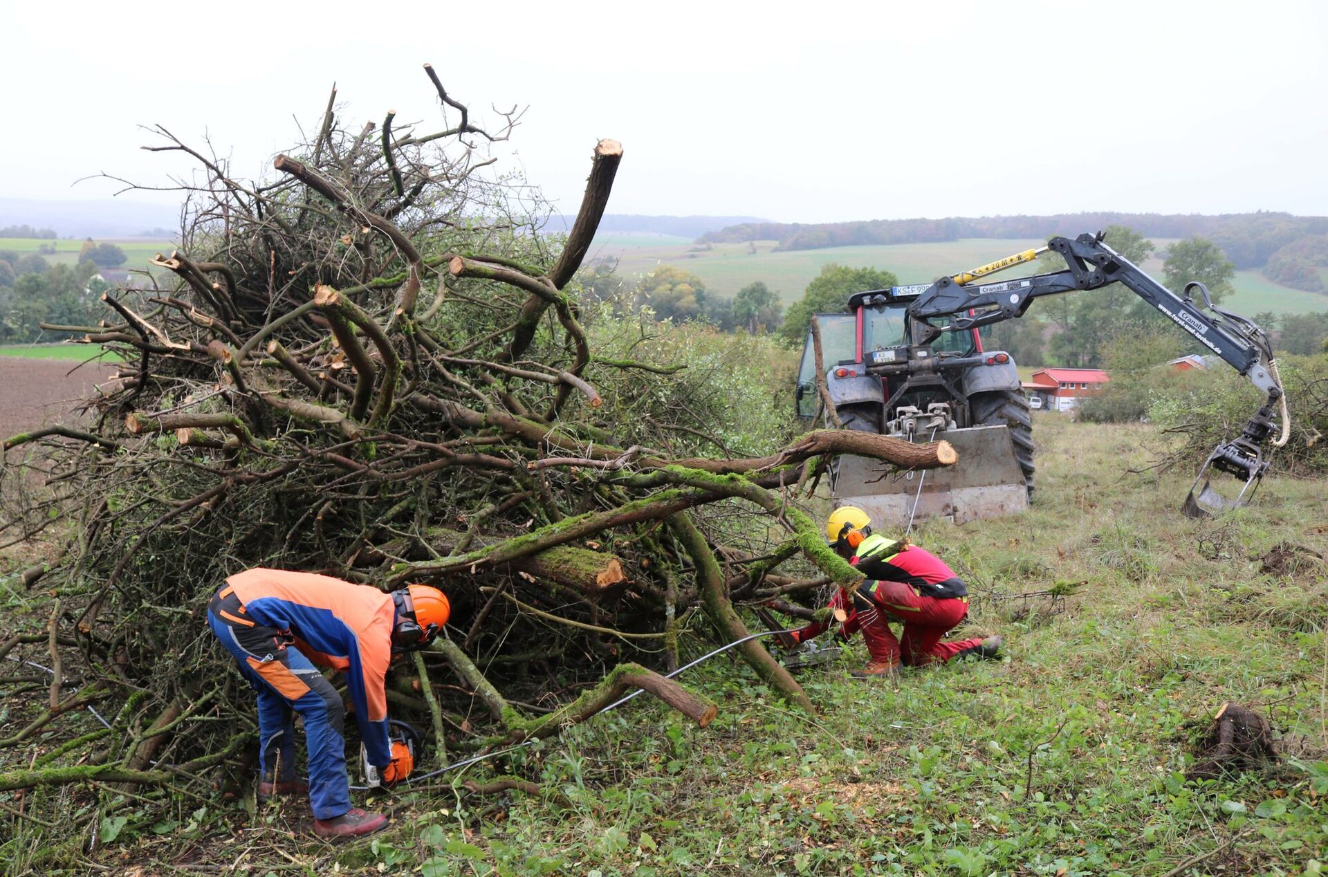 Mitarbeiter der Firma Klahold, Forst&Holz aus Vellmar haben damit begonnen Kalkmagerrasenflächen bei Liebenau von Gestrüpp zu befreien.