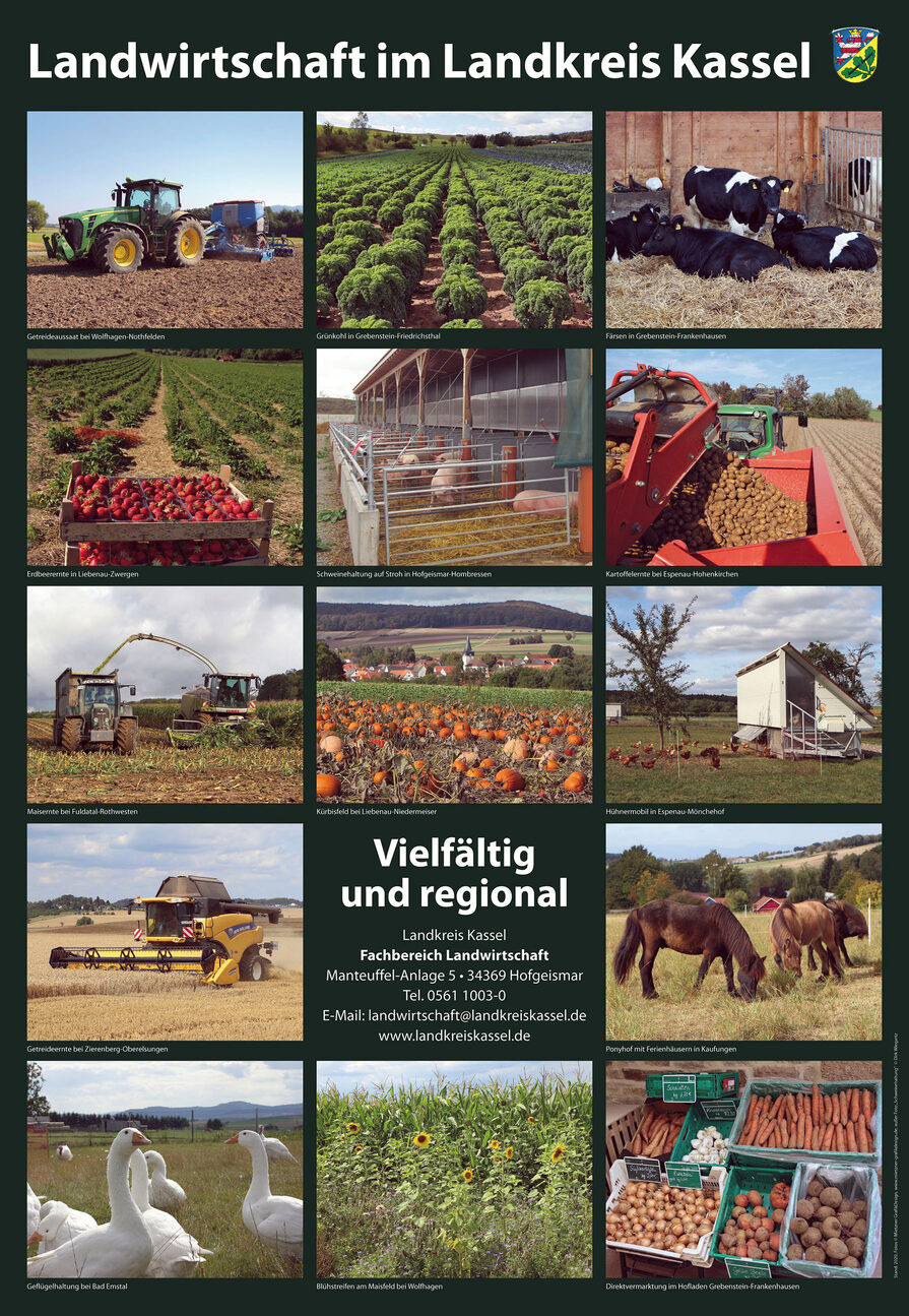 Landwirtschaft im Landkreis Kassel – Vielfältig und regional