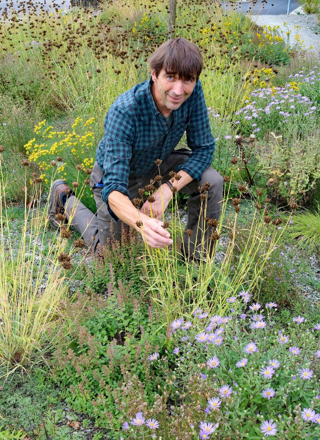 Die bereits vor zwei Jahren angelegte Blühfläche hat sich prächtig entwickelt. Im Bild Markus Thürmer, Ausbildungsleiter für Garten- und Landschaftsbau beim Landkreis Kassel.